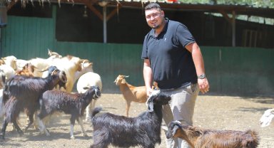 Adak kesimine gitti hayatı değişti! İki oğlakla başladı, 500 hayvana ulaştı