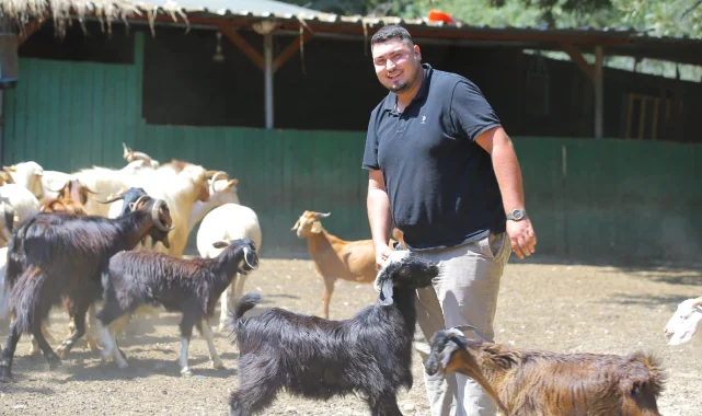 Adak kesimine gitti hayatı değişti! İki oğlakla başladı, 500 hayvana ulaştı