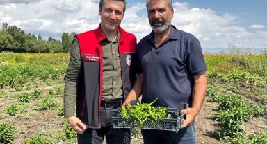Ağrı Ozanlar Köyü'nde örnek üretim modeli