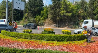 Amntalya'da yeşil alanlarda genel temizlik ve bakım yapıldı