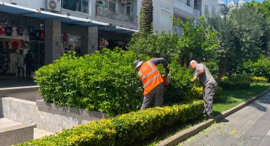 Antalya Büyükşehir'den Kemer'e çevre düzenleme