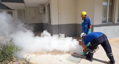 Antalya'da haşere ve sivrisinekle mücadele aralıksız sürüyor