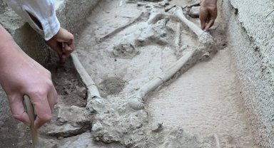 Aspendos'ta 2 bin 400 yıllık gizem... Güreşçi mezarı ortaya çıktı