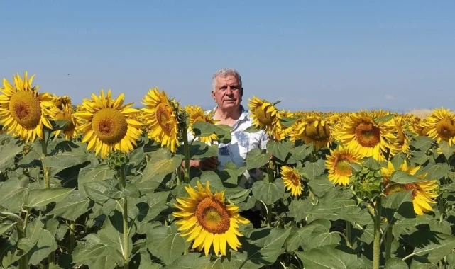 Ayçiçeği ve pirinç ithalatına Edirne'den tepki