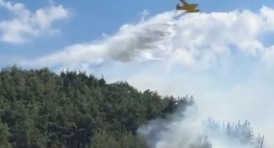 Balıkesir ve Bilecik'te yangınlar kontrol altında