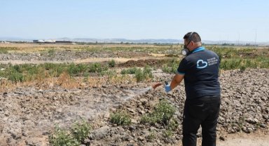 Balıkesir'de ilaçlama ekipleri sahada