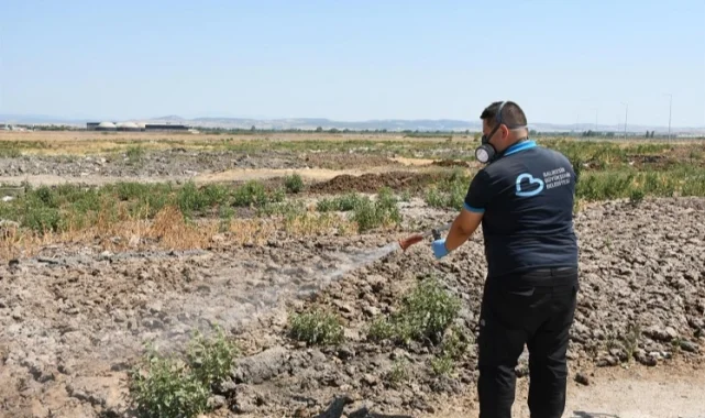 Balıkesir'de ilaçlama ekipleri sahada