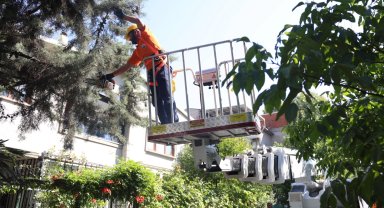 Bursa Osmangazi'de yeşil alanlara titiz koruma