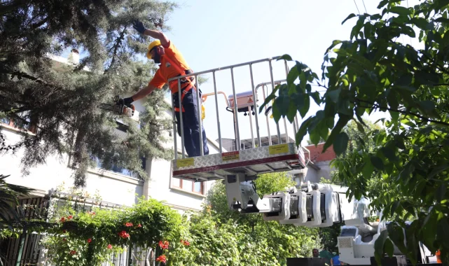 Bursa Osmangazi'de yeşil alanlara titiz koruma