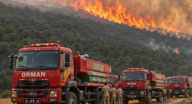 Bursa'da orman yangını! Havadan ve karadan yoğun müdahale