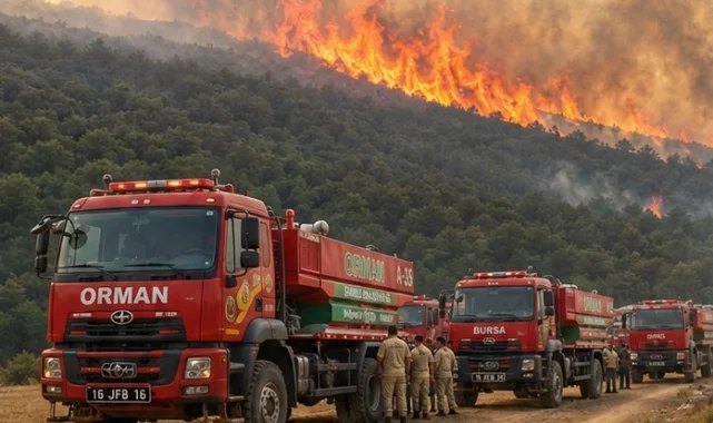Bursa'da orman yangını! Havadan ve karadan yoğun müdahale