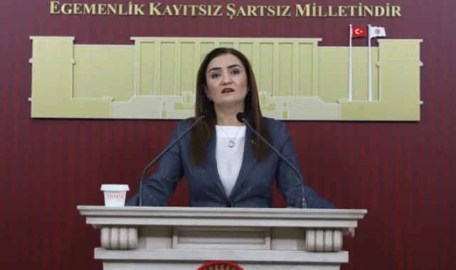 CHP Grup Başkanvekili Kılıç'tan 'silahsızlanma' vurgusu