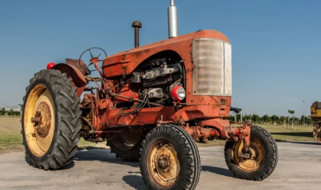 Edirne tarımı buğday ve ayçiçeğine sıkıştı!