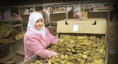 Ege İhracatçı Birlikleri ihracat rekorlarını otomatiğe bağladı