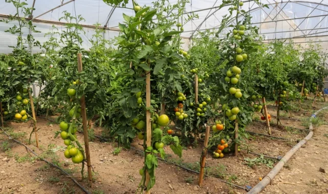 Eskişehir'de Çiftçi Destekleme ve Eğitim Merkezi kuruluyor