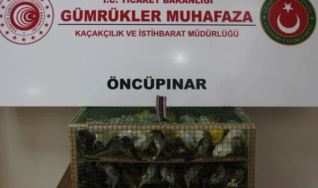 Gümrük Muhafaza'dan kaçakçılığa darbe! 2026'da 58 bin 519 canlı hayvan kurtarıldı