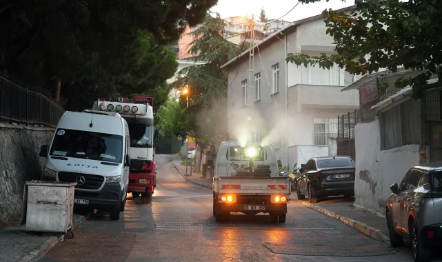 İstanbul Maltepe'de ilaçlama çalışmaları sürüyor