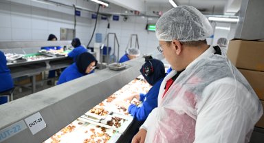 İzmir'de organik tarıma yerinde inceleme
