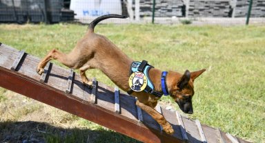 K9 ekipleri Başkent'te 7/24 görevde