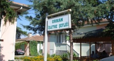 Kepsut'a Orman İşletme Müdürlüğü kuruluyor