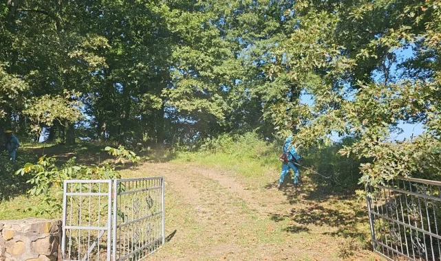 Kocaeli Derince'de mezarlıklara titiz bakım