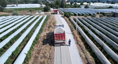 Manisa Sarıgöl'de hasat öncesi yollar yenileniyor