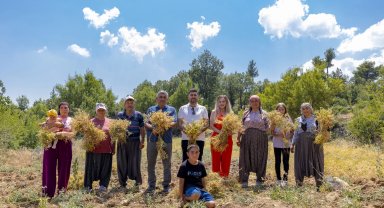 Mersin'de yerel tohumlar geleceğe taşınıyor