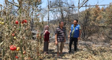 Muğla Seydikemer'de yangın sonrası seferberlik