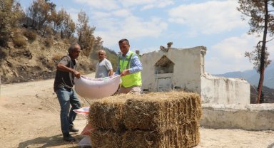 Muğla Seydikemer'de yaralar hızla sarılıyor