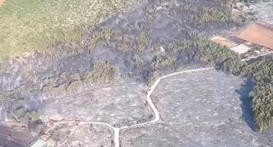 Muğla'da başlayıp Antalya'ya sıçrayan orman yangını kontrol altına alındı