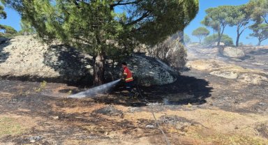 Muğla'da yangınların acı bilançosu! Her 10 yangından 7'si insan kaynaklı