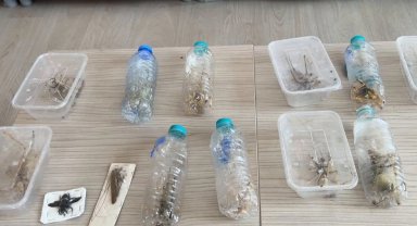 Nemrut'ta biyokaçakçılık operasyonu! 2 kişiye 1,4 milyon TL ceza