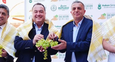 Üzümün başkenti Manisa bağbozumuna hazır