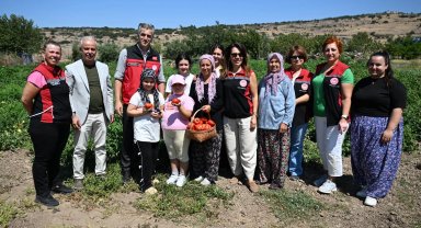 Yamanlar Tarla Domatesi için üreticilerle tarlada buluşuldu
