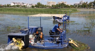 Antalya Boğaçayı'nda doğal yaşam dengesi korunuyor