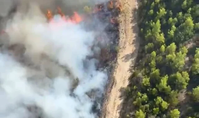 Antalya Serik'te orman yangını