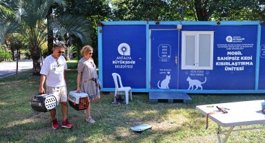 Antalya'da hayvan dostu çalışmaları sürüyor