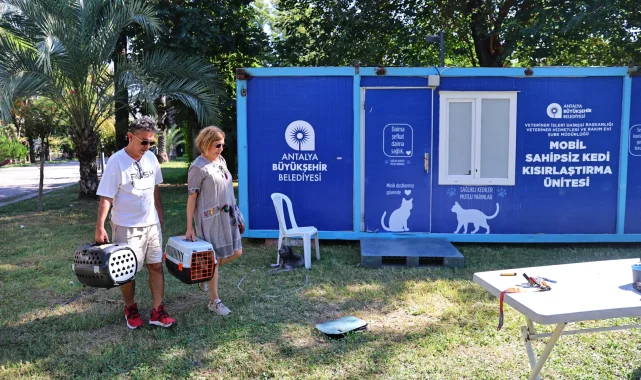 Antalya'da hayvan dostu çalışmaları sürüyor