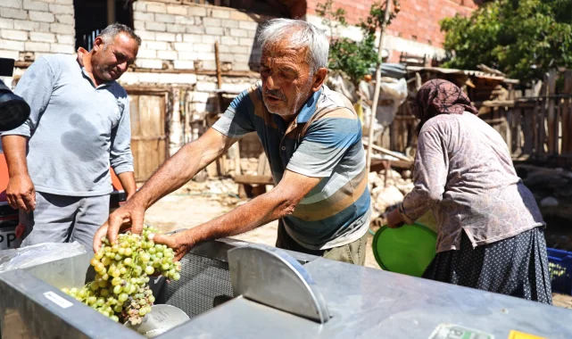Antalya'da üzüm üreticilerine makine desteği
