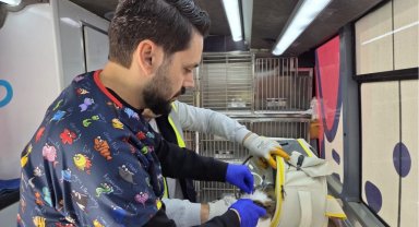 Balıkesir'de can dost aracı yollarda