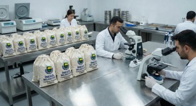 Bursa İnegöl'de toprağın röntgeni çekiliyor