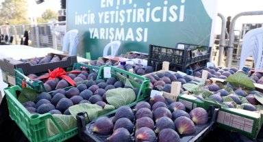 Bursa Nilüfer 12. Akçalar Fadıllı İncir Festivali'ne hazır