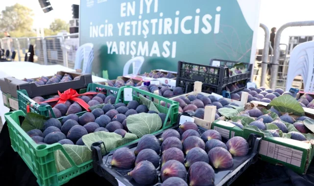 Bursa Nilüfer 12. Akçalar Fadıllı İncir Festivali'ne hazır