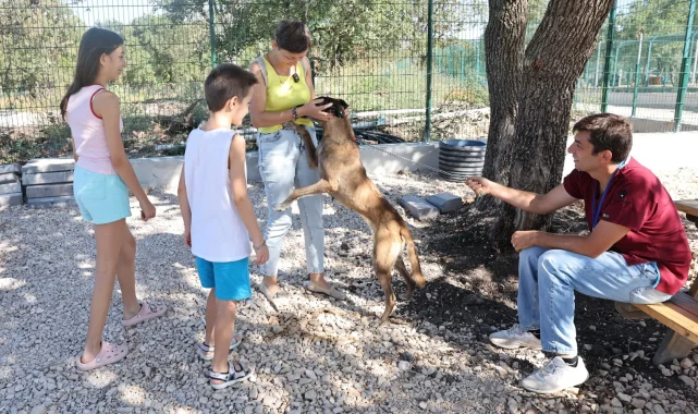 Bursa Nilüfer'de 'Umut' yeni yuvaya kavuştu