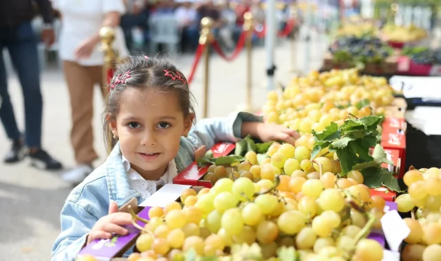 Bursa Osmangazi'de üzüm bereketi festivalle taçlandı