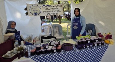 Candarlı kadınlarından Bursa Gastronomi Festivali'nde yaban mersini rüzgârı