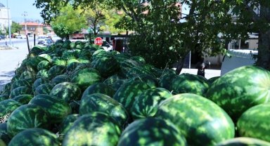 Denizli'de üreticinin imdadına Başkan Çavuşoğlu yetişti