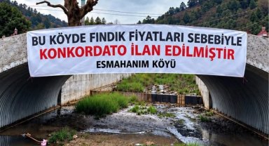 Düzce Akçakoca'da üreticinin fındık fiyatı tepkisi