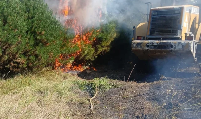 Düzce'de fındık bahçesinde yangın!