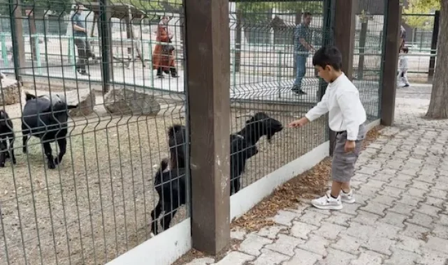 Hayvanat Bahçesi'nde 30 Ağustos bereketi